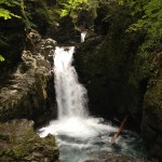 IMG_2308