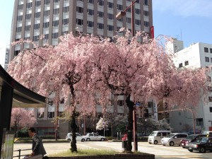 IMG_4503