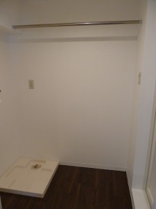 洗濯板、棒 (2)