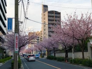 ae6346bd-667b-4d59-bbb7-ab10954a51f3
