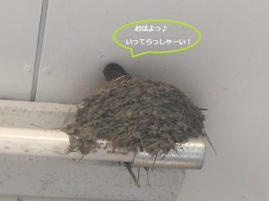 %e6%96%b0%e5%b1%85%e5%ae%8c%e6%88%90%ef%bc%81