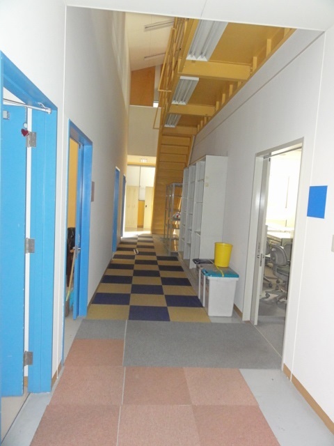 DSC08239.JPG